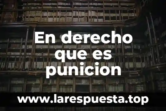 En derecho que es sustanciación 3 En derecho que es punicion