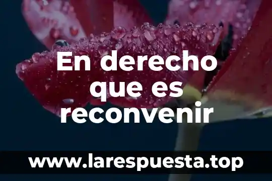 En derecho que es reconvenir