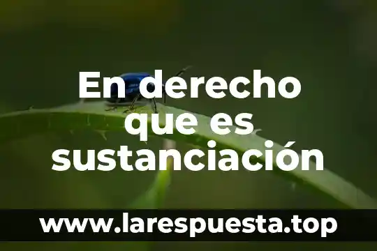 Qué es el derecho canónico divorcio 6 En derecho que es sustanciación