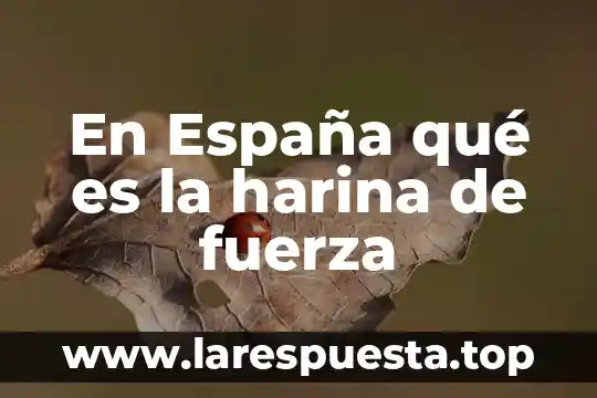 Qué es la fuerza boyante 8 En España qué es la harina de fuerza
