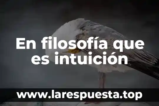 Que es preintuitivo o intuicion en filosofia 6 En filosofía que es intuición