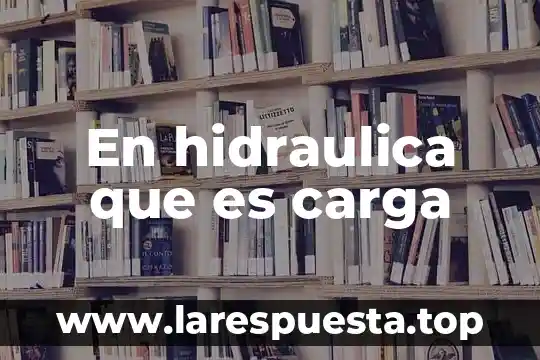Qué es la energía hidráulica definición 6 En hidraulica que es carga