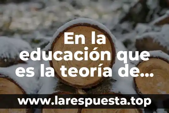 En la educación que es la teoría de la participación