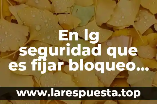 Tarjeta de credito garsntizada que es 6 En lg seguridad que es fijar bloqueo de tarjeta sim