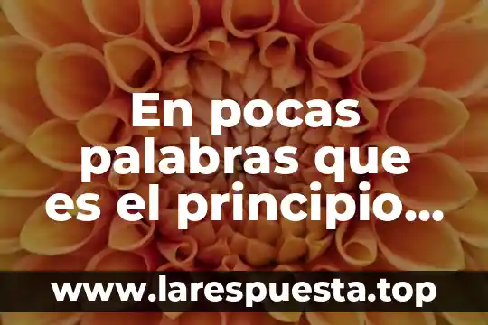 Que es desarrollo sustentable en pocas palabras 8 En pocas palabras que es el principio de tipicidad