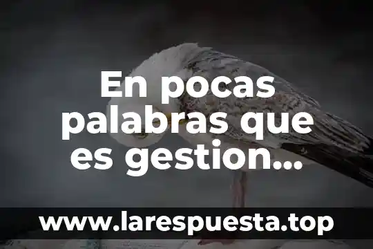 En pocas palabras que es el principio de tipicidad 8 En pocas palabras que es gestion empresarial