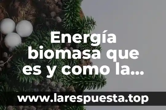 Energía biomasa que es y como la aprovechamos