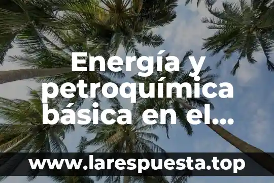 Energía y petroquímica básica en el TLCAN que es