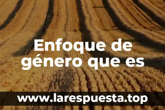 Genero autoayuda que es 4 Enfoque de género que es