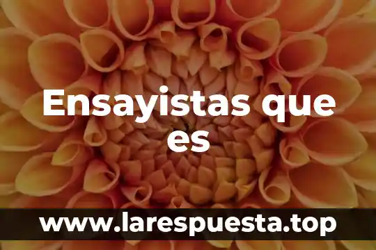 Agencias mayoristas que es 3 Ensayistas que es