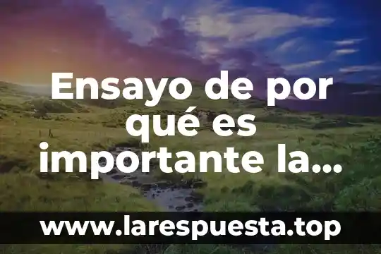 Ensayo de por qué es importante la fotosíntesis