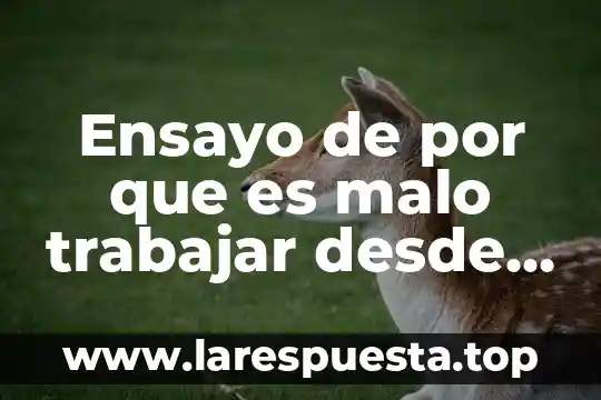 Ensayo de por que es malo trabajar desde casa