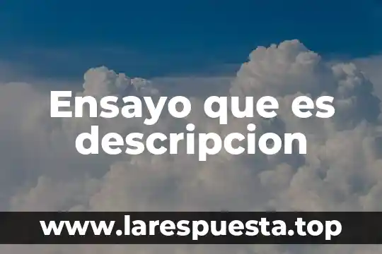 Ensayo que es descripcion