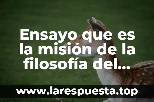 Ensayo que es la misión de la filosofía del derecho