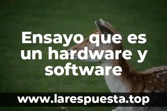 Qué es más recomendable RAID por hardware o por software 3 Ensayo que es un hardware y software