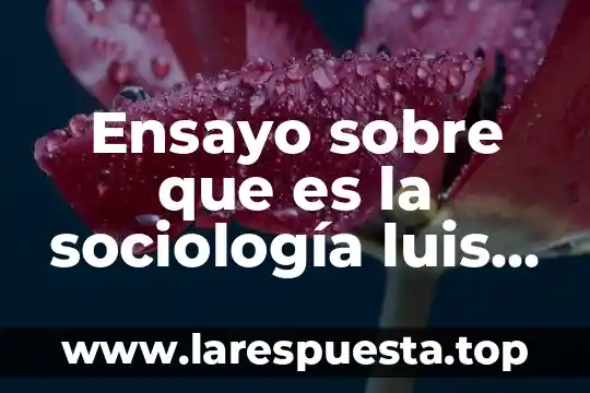Ensayo sobre que es la sociología luis perez cruz