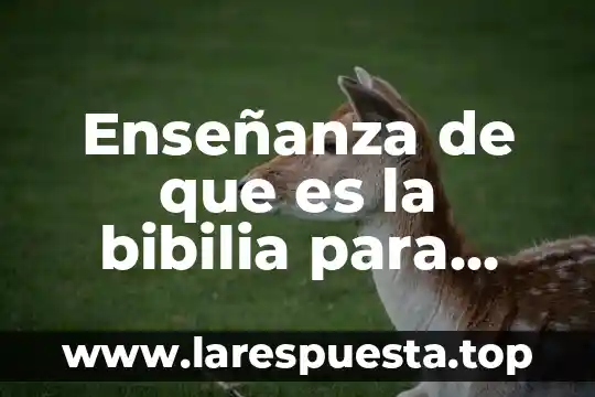 Que es un trastorno sexual psicologia 6 Enseñanza de que es la bibilia para niños