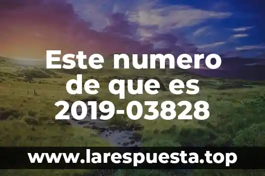 ¿Qué es el número de repeticiones en el ejercicio? 7 Este numero de que es 2019-03828