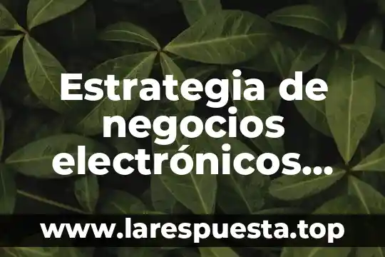 Que es un proyectista de negocios certificación 7 Estrategia de negocios electrónicos que es