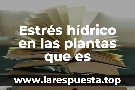 Estrés hídrico en las plantas que es