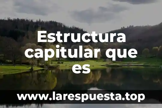 Augusto Comte que es estructura 4 Estructura capitular que es