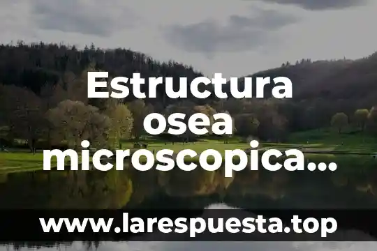 Estructura osea microscopica que es