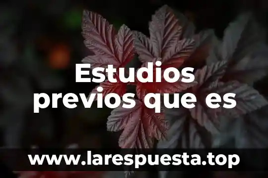 Estudios previos que es