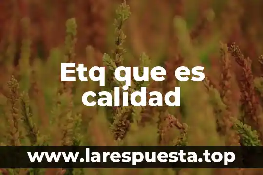 Que es calidad en el servicio 4 Etq que es calidad