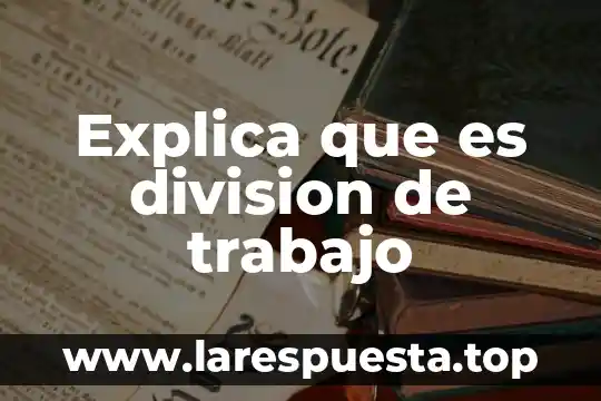 Explica que es division de trabajo
