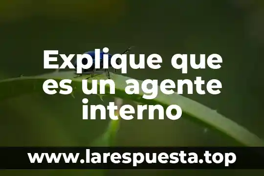 Que es una chaveta definicion 6 Explique que es un agente interno