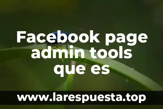 Que es la fase de aplicacion en una investigacion 5 Facebook page admin tools que es