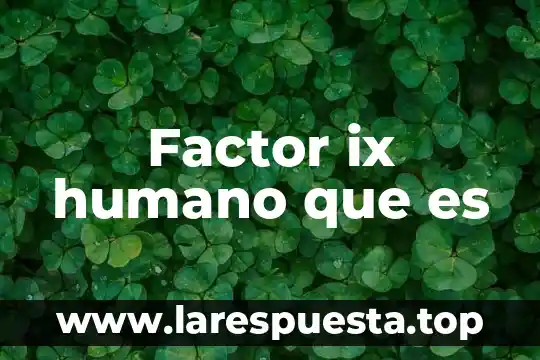 Goethe que es el humano 8 Factor ix humano que es
