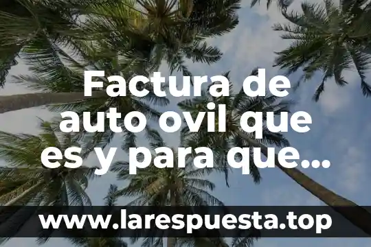 Que es el valor neto de una factura formula 6 Factura de auto ovil que es y para que sirve