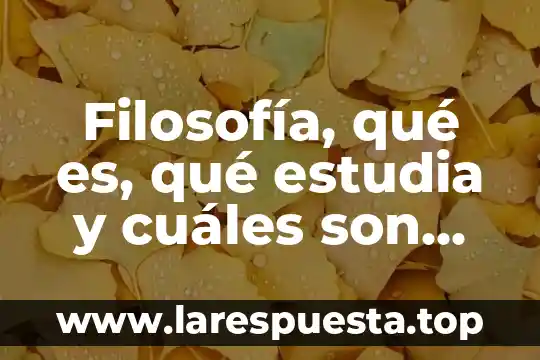 Filosofía, qué es, qué estudia y cuáles son sus ramas