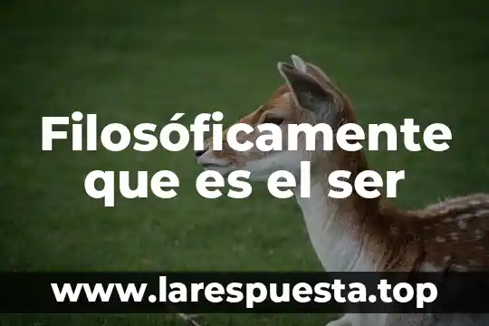 Filosoficamente que es un derecho 3 Filosóficamente que es el ser