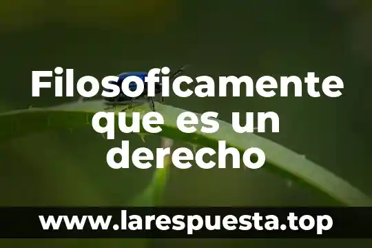 Filosóficamente que es el ser 5 Filosoficamente que es un derecho
