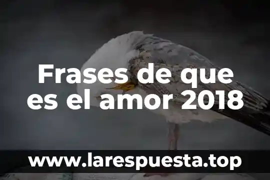 Frases de que es el amor 2018