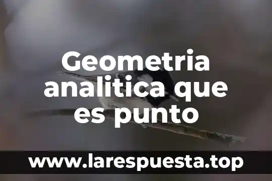 Que es geometria analitica personas que estudiaron 6 Geometria analitica que es punto