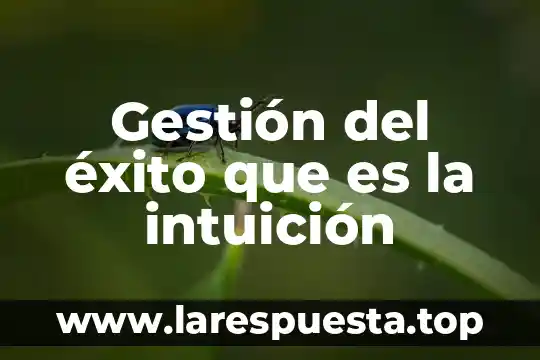 En filosofía que es intuición 5 Gestión del éxito que es la intuición