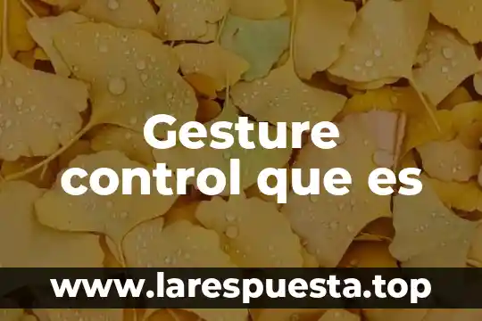 Que es la gafic de control 4 Gesture control que es