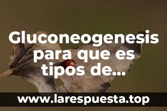 Estudio reacciones febriles para que es 8 Gluconeogenesis para que es tipos de reacciones