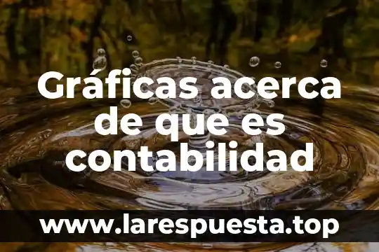 Qué es organismo en nutrición 5 Gráficas acerca de que es contabilidad