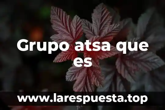Que es grupo apro 6 Grupo atsa que es