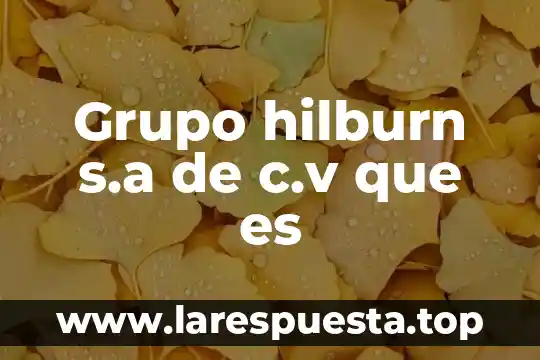 Grupo hilburn s.a de c.v que es