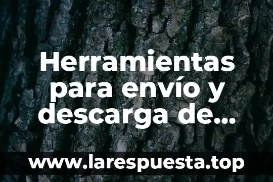 Que es un archivos de microsoft office 4 Herramientas para envío y descarga de archivos que es