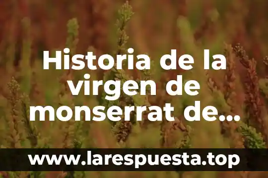 Historia de la virgen de monserrat de que es intercesora