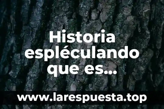 Que es clerical en historia 5 Historia espléculando que es software