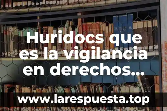 Por que es importante los recursos humanos mush galindo 4 Huridocs que es la vigilancia en derechos humanos