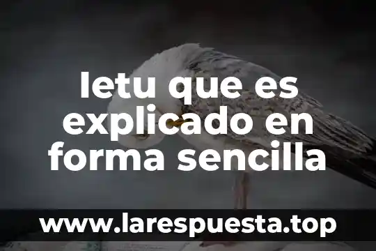 Ietu que es explicado en forma sencilla
