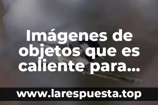 Que es un viento musical para colorear 5 Imágenes de objetos que es caliente para colorear